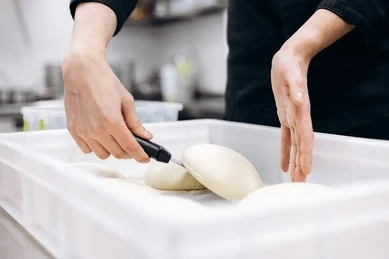 Fermentasi Adonan Pizza